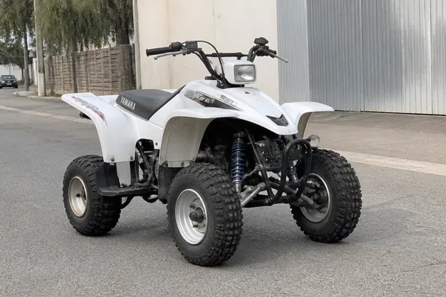 Yamaha ATV YFM 350 Warrior